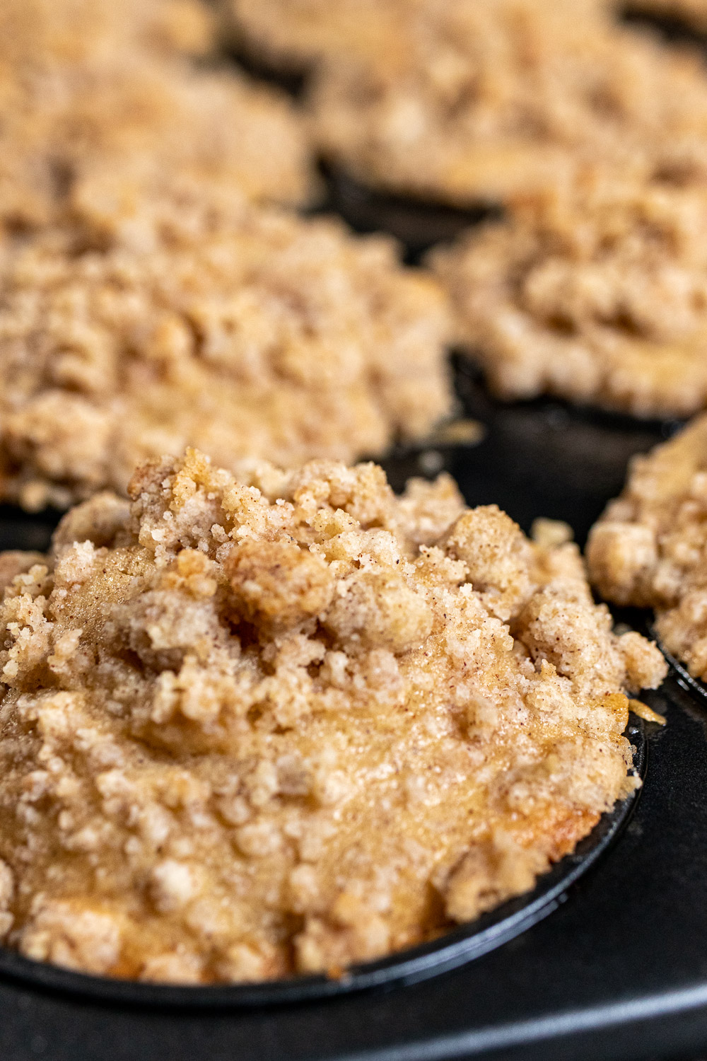 cinnamon apple cider muffins in muffin pan