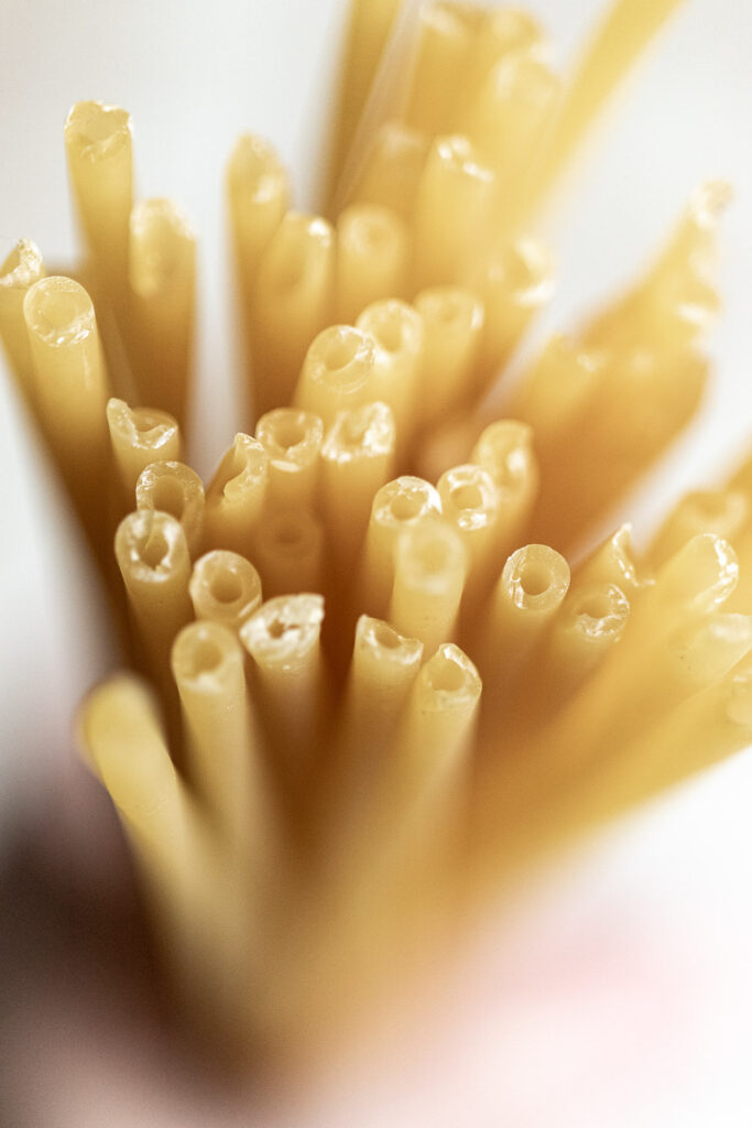 close up of bucatini pasta