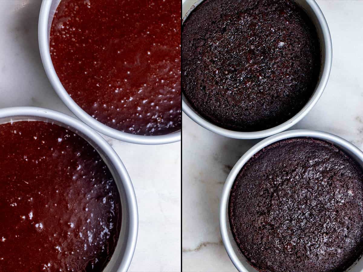 Dividing the batter for blackout cake into two 8-inch round cake pans and baking them. 