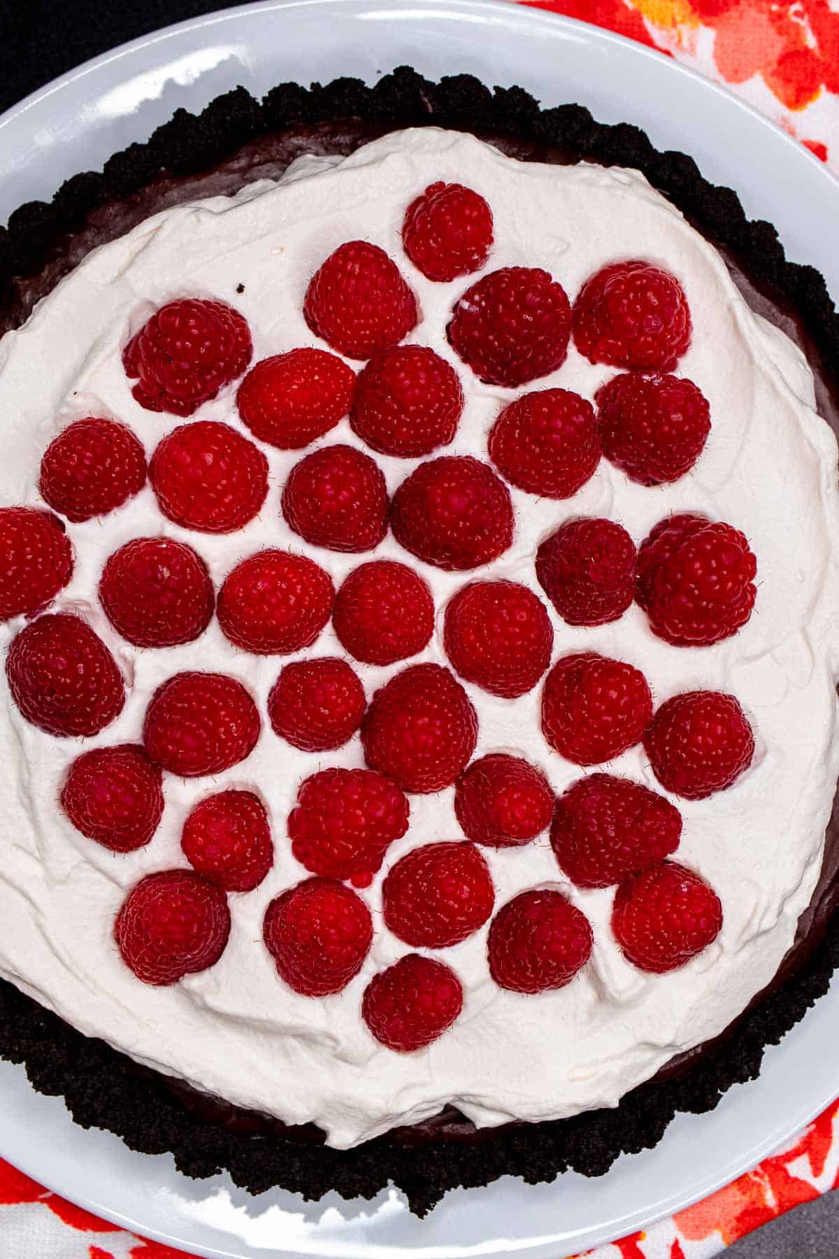 A chocolate raspberry tart topped with homemade whipped cream and fresh raspberries.
