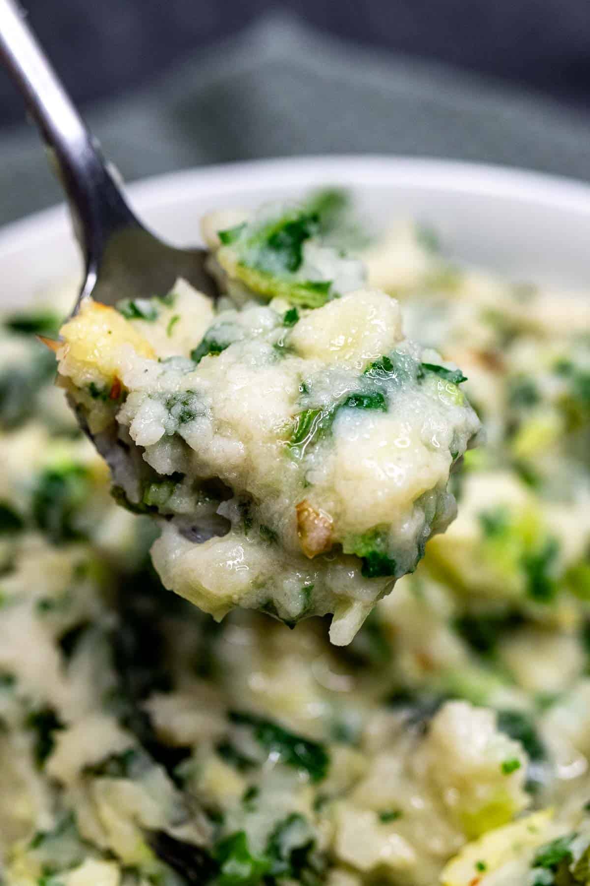 Close up of a scoop of Irish colcannon in a spoon with a large bowl of it in the background.