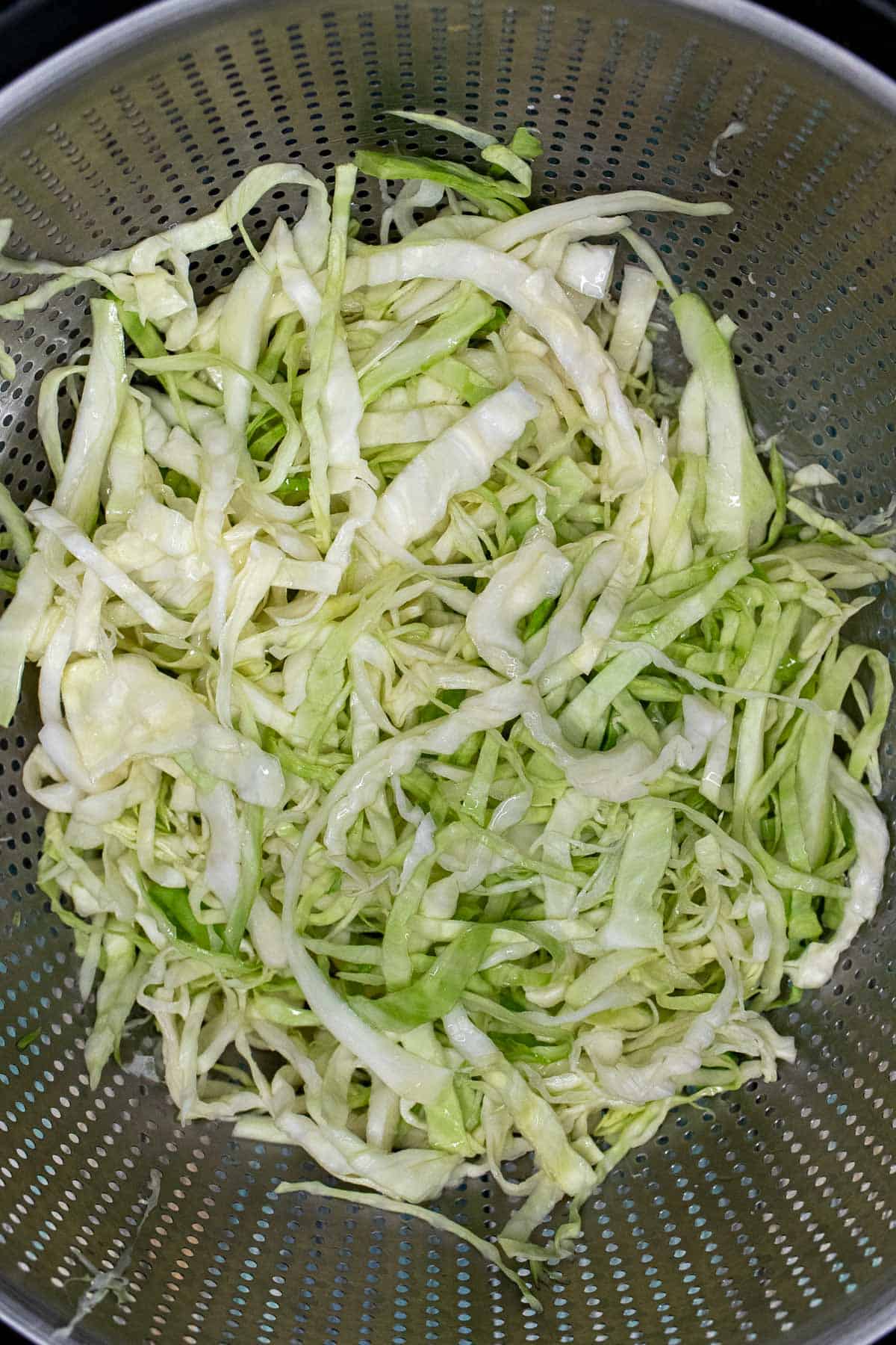 Shredded cabbage salted and draining.