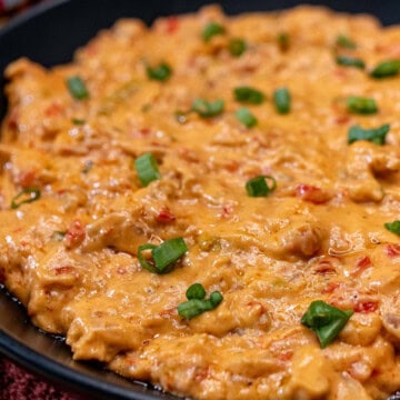 A large bowl of Cajun hot crawfish dip topped with green onion.