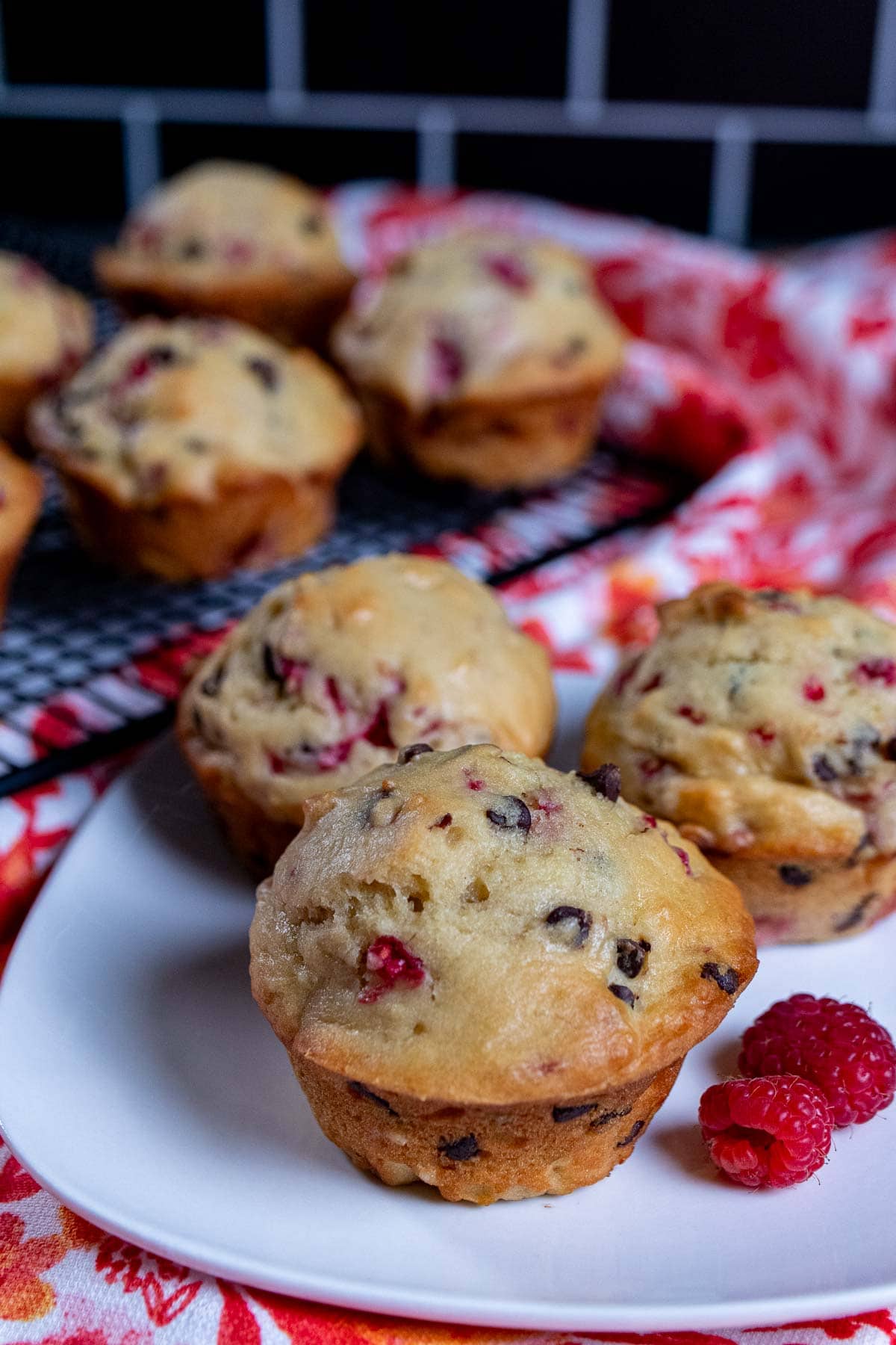 A plate and cooling rack full of raspberry chocolate chip muffins.