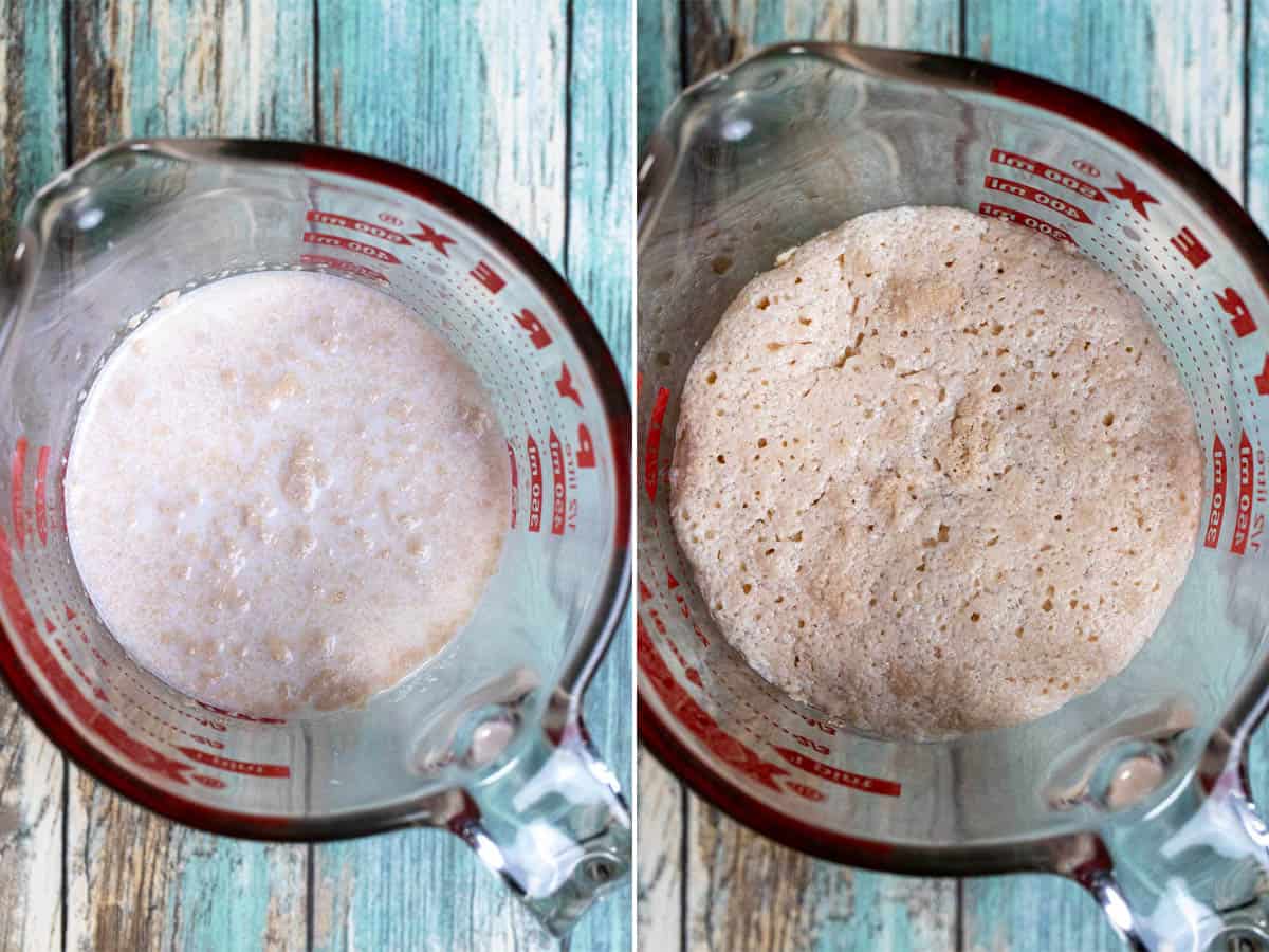 Proofing yeast for bread.