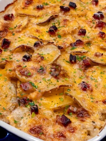 A baking dish full of cheesy scalloped potatoes and ham.