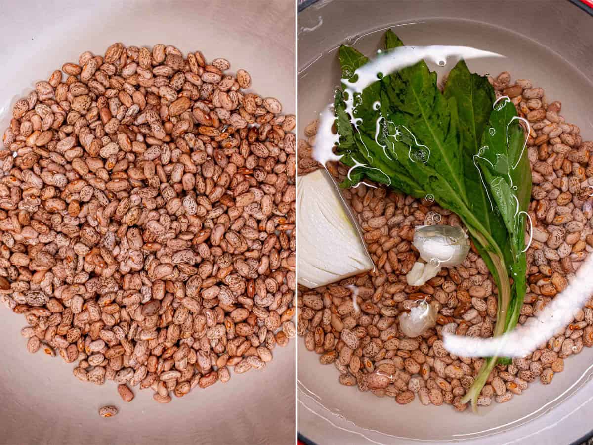 Simmering pinto beans with garlic, onion, and epazote.
