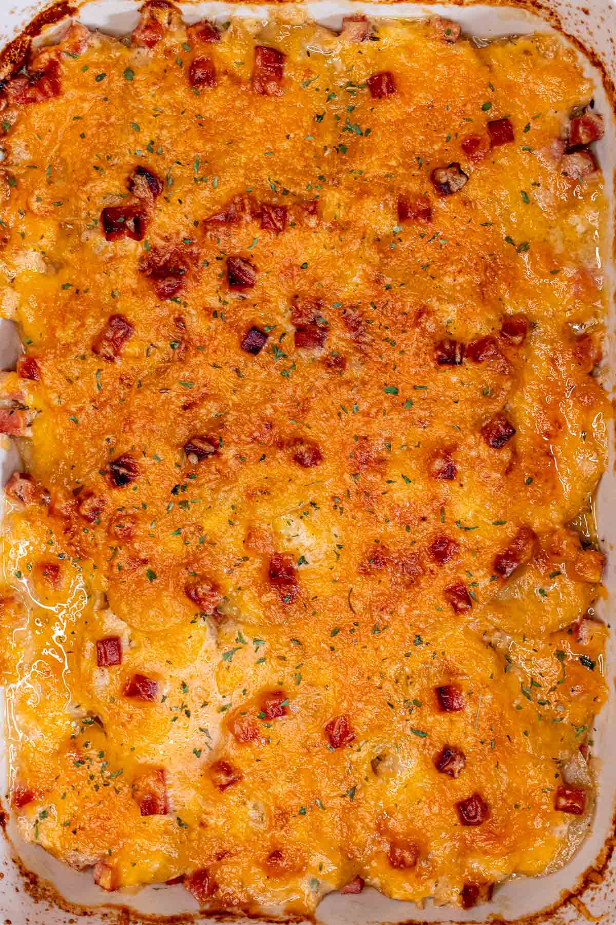 Cheesy scalloped potatoes and ham after finished baking uncovered.