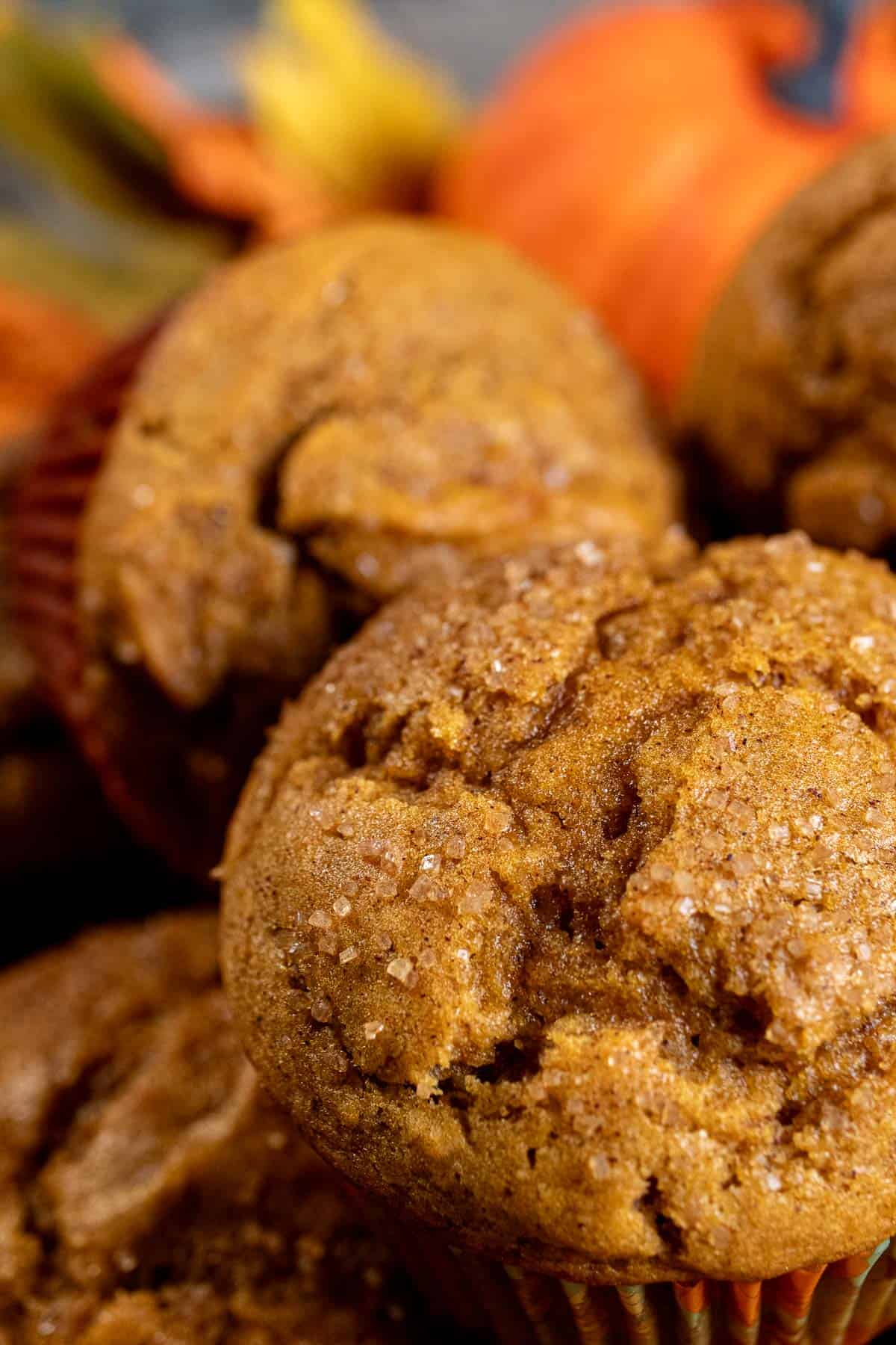 Pumpkin muffins topped with coarse sugar with a pumpkin behind them.