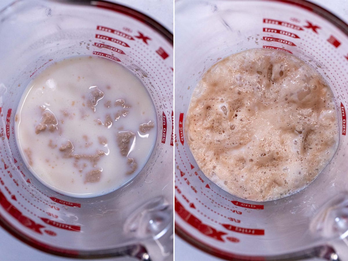 Proofing yeast for cinnamon rolls.